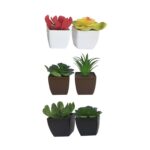 Artificial Potted Succulent Plants, 2x2x3.5-in.
