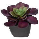 Artificial Potted Succulent Plants, 3.5x2.5x2.5 in. - Image 2