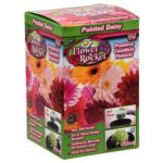 Flower Rocket Seed Packs - Image 7